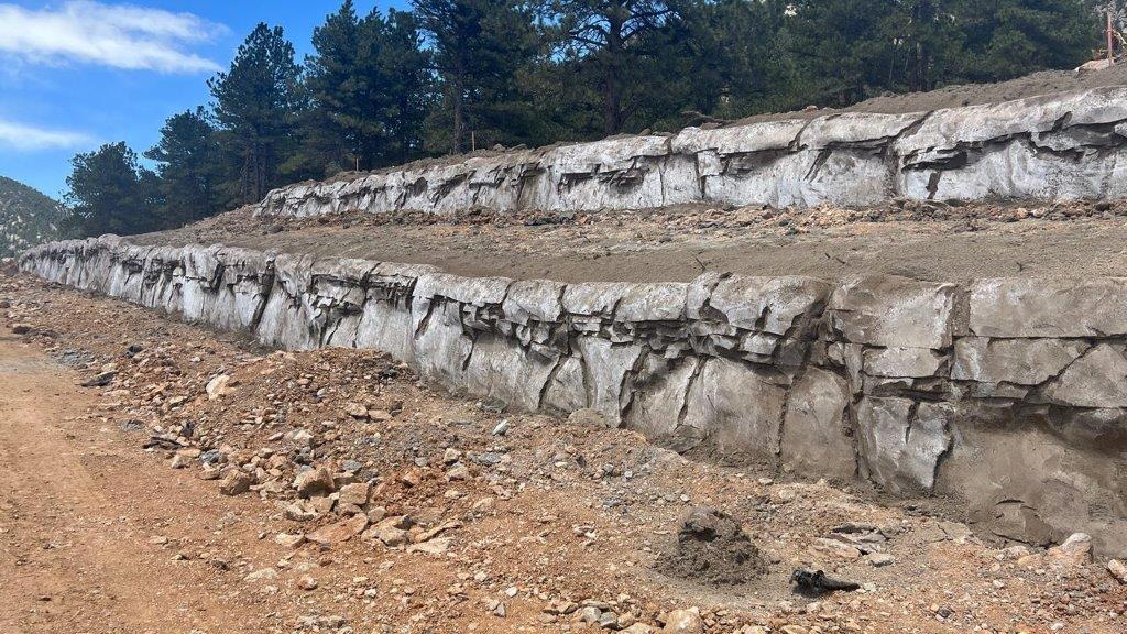 Sculpted Shotcrete done by Slaton Bros in Denver, Colorado